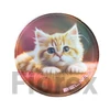 Kép 2/4 - Matrica, tépőzáras, Classy Plus táskához, BELMIL "Cats"