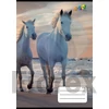 Kép 1/2 - Füzet, tűzött, A5, vonalas, 32 lap, 3. osztály, COOL BY VICTORIA, "Horses", "12-32"
