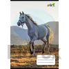 Kép 2/2 - Füzet, tűzött, A5, vonalas, 32 lap, 3. osztály, COOL BY VICTORIA, "Horses", "12-32"