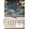 Kép 1/2 - Füzet, tűzött, A5, vonalas, 32 lap, 4-8. osztály, COOL BY VICTORIA, "Skateboard", "21-32"