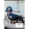 Kép 1/2 - Füzet, tűzött, A5, kockás, 32 lap, COOL BY VICTORIA, "Hounds", 27-32