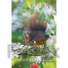 Kép 1/5 - Naptár, fali, CSG "Erdeink világa"