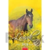 Kép 1/5 - Naptár, fali, CSG "Lovak"