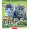 Kép 1/5 - Naptár, fali, CSG "Én és a barátaim"