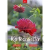 Kép 1/2 - Naptár, fali, DAYLINER, "Kertészmester"