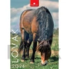 Kép 1/2 - Naptár, fali, DAYLINER, "Lovak"