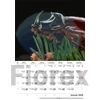 Kép 2/5 - Naptár, fali, DAYLINER, "Macro Lens"