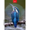 Kép 1/5 - Naptár, fali, DAYLINER, "Természet varázsa"