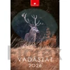 Kép 1/5 - Naptár, fali, DAYLINER, "Vadászat"