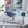 Kép 4/5 - Iratrendező, 50 mm, A4, PP/karton, élvédő sínnel, ESSELTE "Economy", sárga