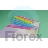 Kép 4/5 - Színes ceruza készlet, háromszögletű, KORES "Kolores Pastel", 12 pasztell szín