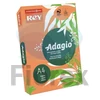 Kép 1/2 - Másolópapír, színes, A4, 80 g, REY "Adagio", neon mandarin