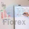 Kép 6/6 - Tábla- és flipchart marker, 2-3 mm, kúpos, SCHNEIDER "Maxx 290", narancssárga