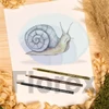 Kép 3/5 - Színes ceruza készlet, hatszögletű, STAEDTLER "Noris Colour 185", 24 különböző szín