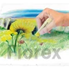 Kép 3/3 - Porkréta, STAEDTLER "2430", 24 különböző szín