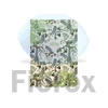 Kép 1/2 - Naptár, tervező, B6, heti, TOPTIMER, "Joy flexi", egzotikus