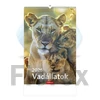 Kép 1/5 - Naptár, fali, TOPTIMER "Vadállatok"