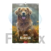 Kép 1/5 - Naptár, fali, TOPTIMER "Kutyák"