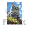 Kép 1/5 - Naptár, fali, TOPTIMER, "Cicák"