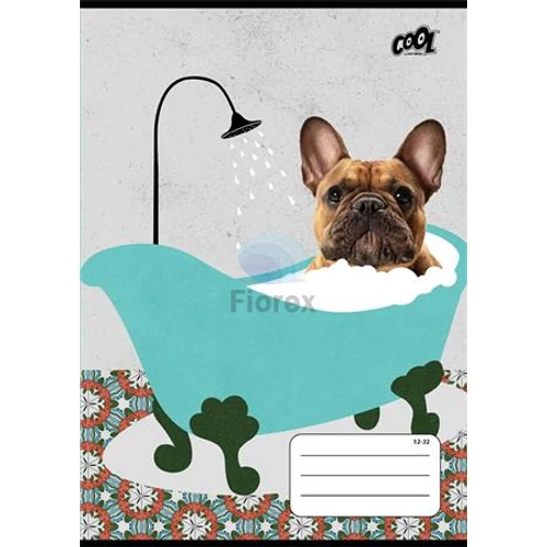 Füzet, tűzött, A5, vonalas, 32 lap, 2. osztály, COOL BY VICTORIA "Bath", "16-32"