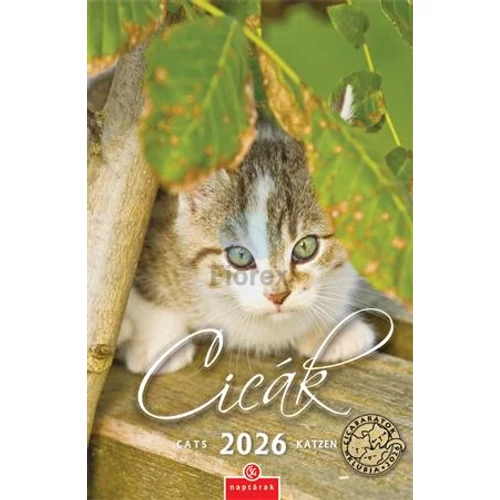 Naptár, fali, CSG, "Cicák"
