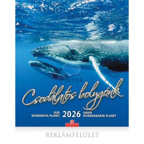 Naptár, fali, CSG, "Csodálatos bolygónk"