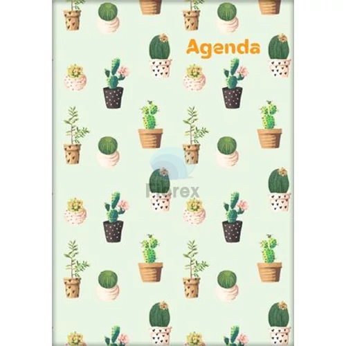 Naptár, tervező, A5, heti, DAYLINER, "Colors", Cactus
