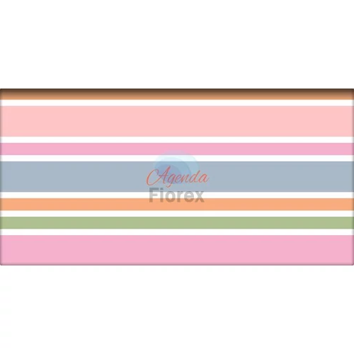 Zsebnaptár, fekvő elrendezésű, DAYLINER, "Colors Stripes"