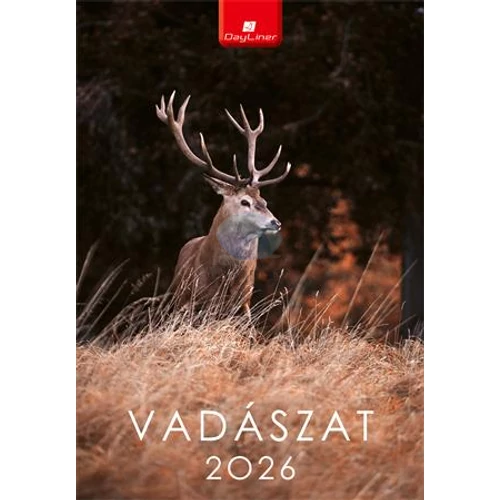 Naptár, fali, DAYLINER, "Vadászat"