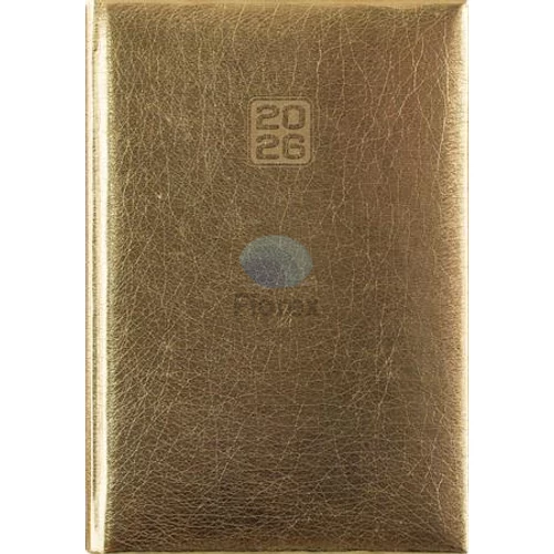 Naptár, tervező, B6, heti, DAYLINER, "Mirror", arany