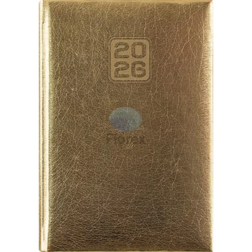 Naptár, tervező, A5, napi, DAYLINER, "Mirror", arany