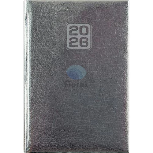 Naptár, tervező, A5, napi, DAYLINER, "Mirror", ezüst