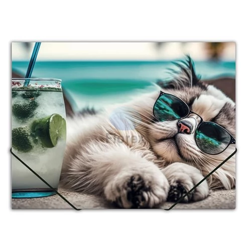 Gumis mappa, 15 mm, PP, A4, PANTA PLAST "Chillout cat"