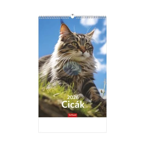 Naptár, fali, TOPTIMER, "Cicák"