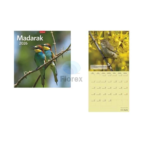 Naptár, fali, TOPTIMER "Madarak"