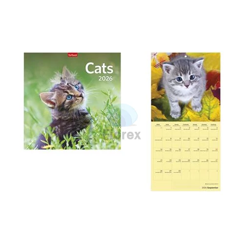 Naptár, fali, TOPTIMER, "Cats"