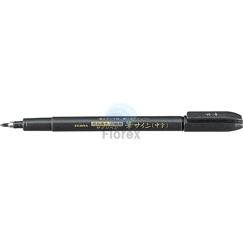 Ecsetirón, ZEBRA "WF3", fekete
