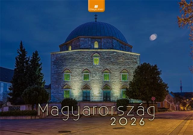Naptár, fali, DAYLINER, 