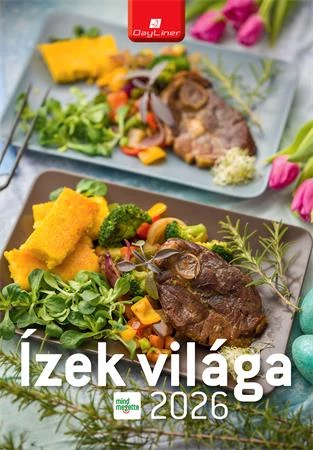 Naptár, fali, DAYLINER 
