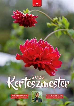 Naptár, fali, DAYLINER, 