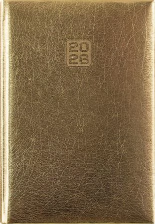 Naptár, tervező, B6, heti, DAYLINER, 