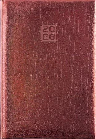 Naptár, tervező, B6, heti, DAYLINER, 