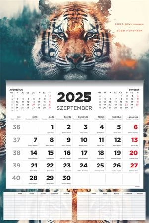 Naptár, fali, diák, 2025/2026 tanév, TOPTIMER, 