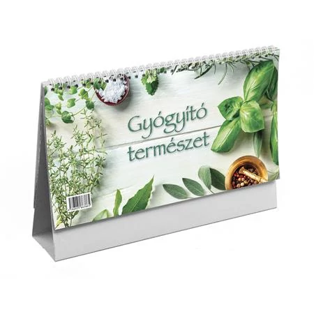 Naptár, asztali, álló, TOPTIMER, 