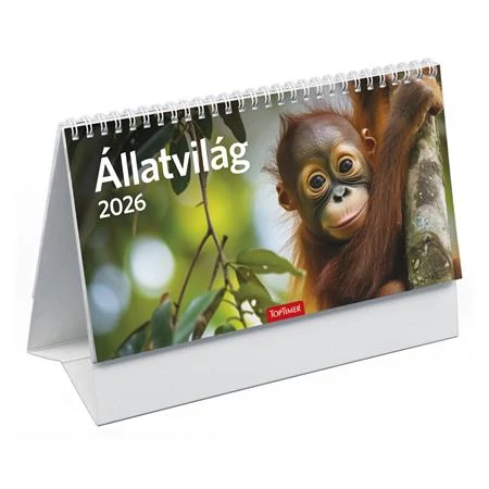Naptár, asztali, álló, TOPTIMER, 