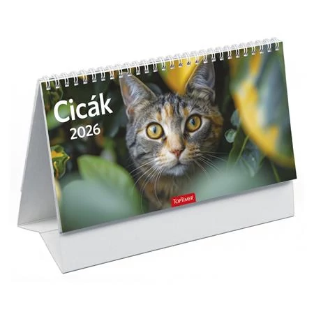 Naptár, asztali, álló, TOPTIMER, 